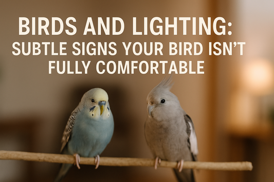 Signs Your Bird Might Not Be Comfortable with Its Lighting