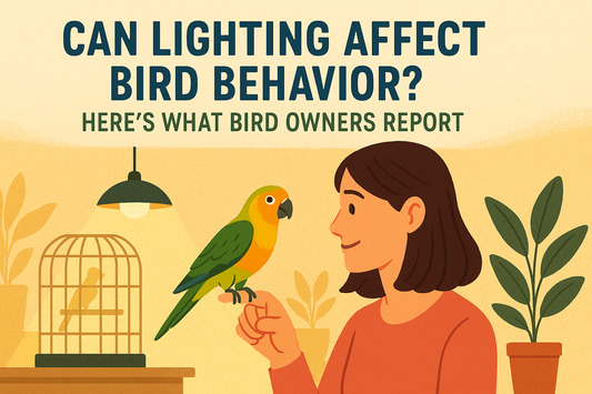 Can Lighting Affect Bird Behavior?