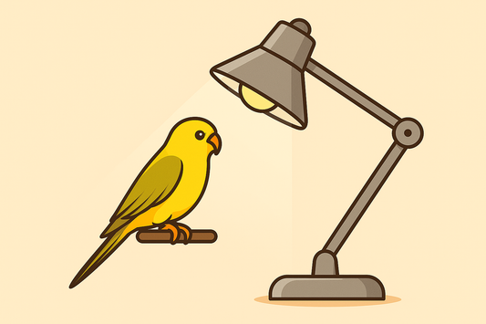 Can You Use a Regular Desk Lamp for Your Bird?