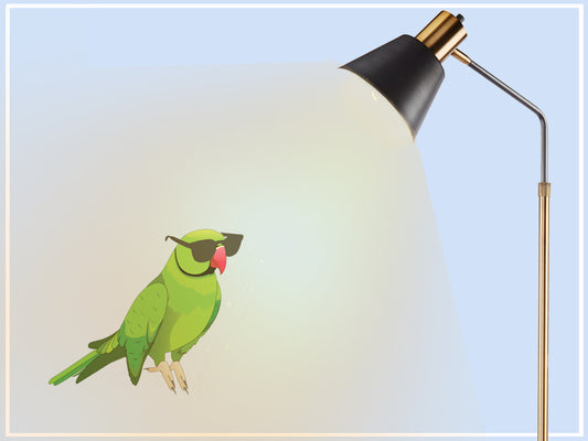 Cautions About UVB and Birds