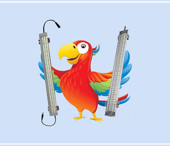 Difference between Petlights and Lights for Breeders