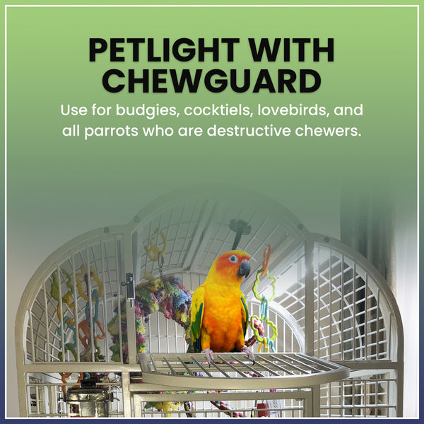 Pet Lights with Chewguard