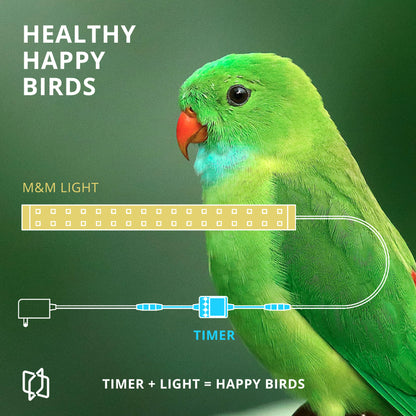 Sunrise/Sunset Timer